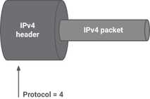 IPv4 in IPv4